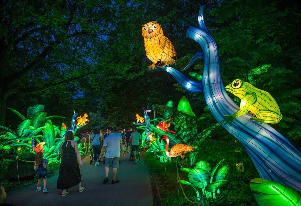 Boston Lights: A Lantern Experience 2