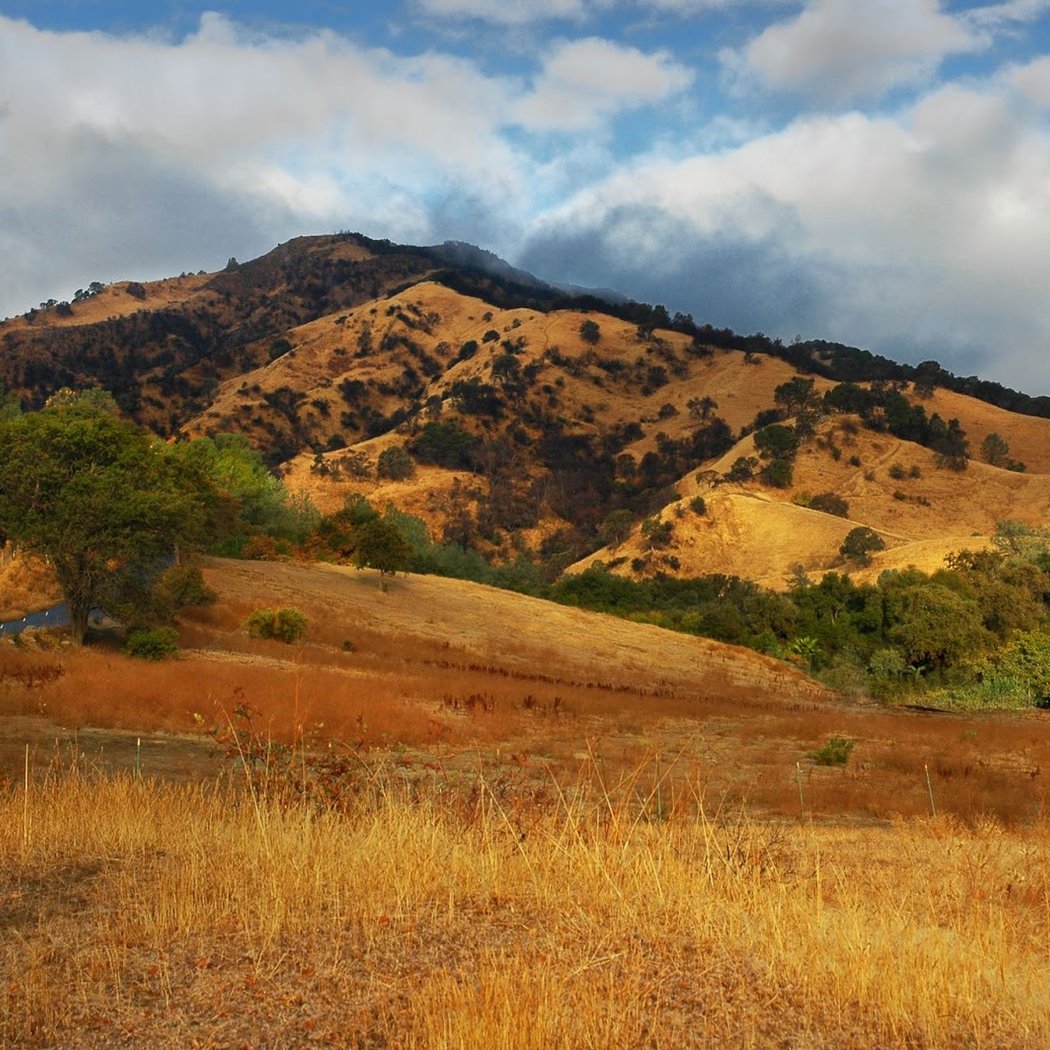 Visit Vacaville 1