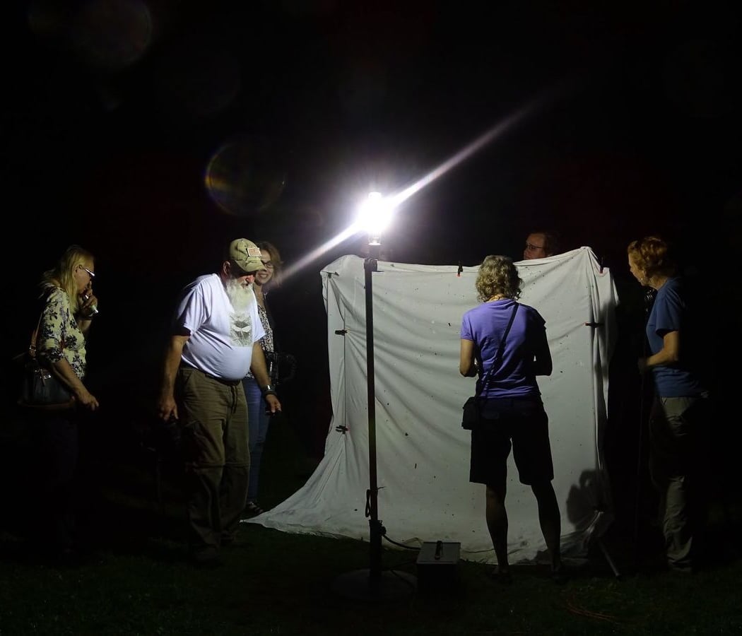 Rancocas Mothing Night 2