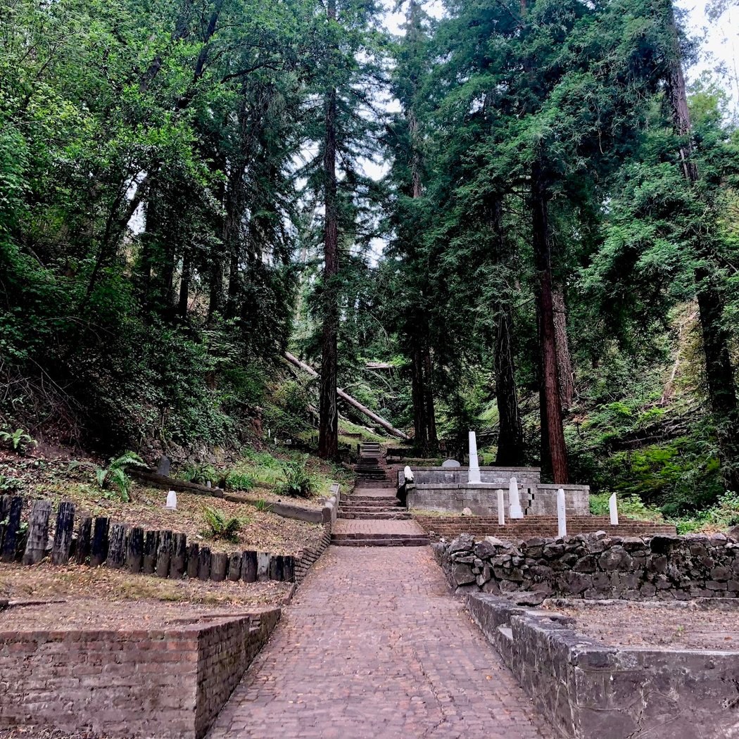 Evergreen Volunteer Days 1