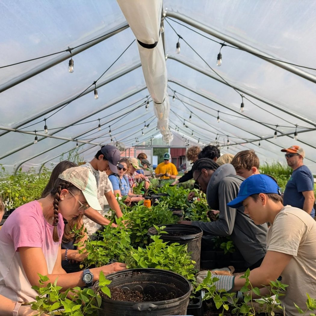 West Norriton Native Plant Workshop 2
