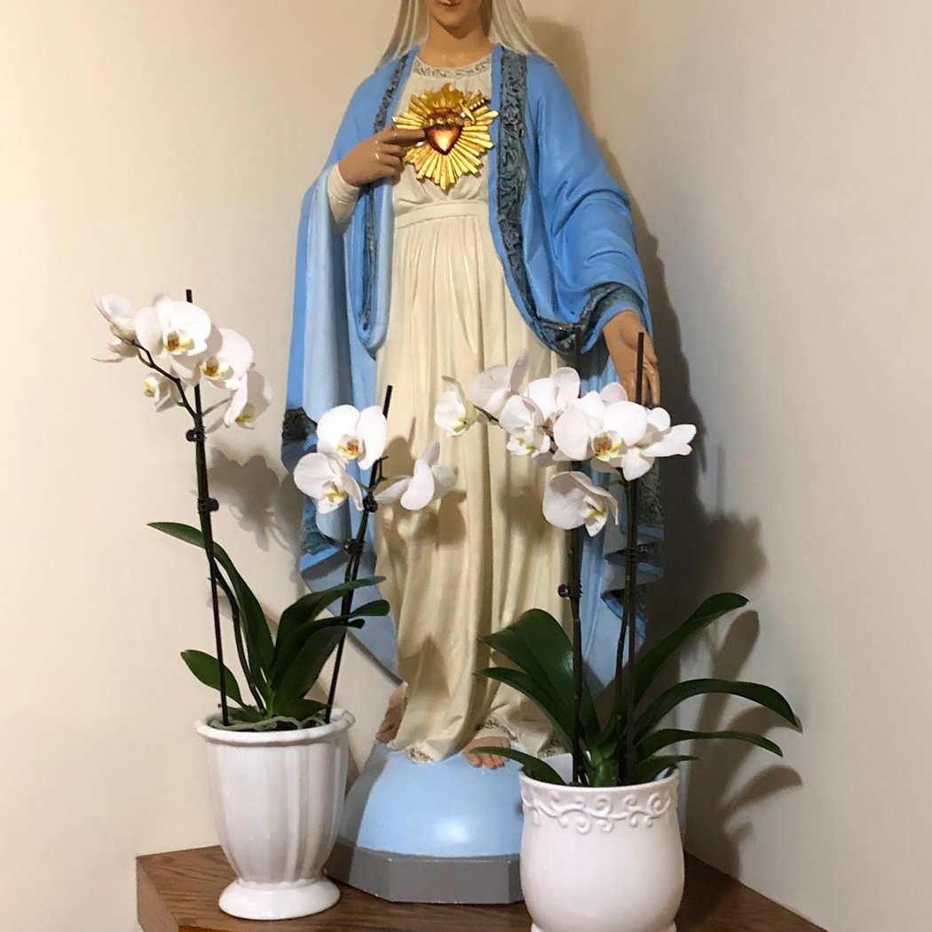 Divine Mercy Perpetual Adoration Chapel - Kingston, NY 2