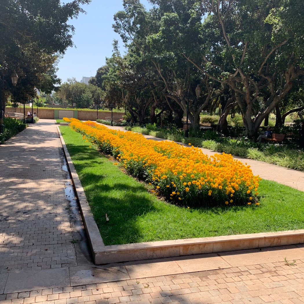 Botanical Garden 3
