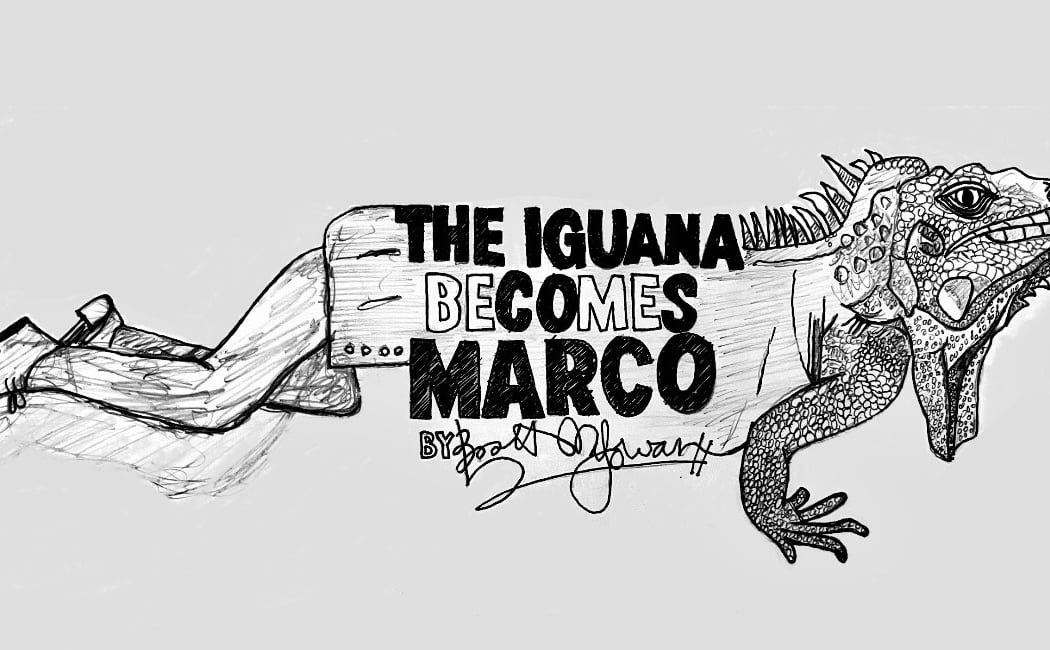 The Iguana Becomes Marco 3