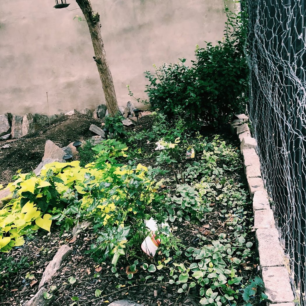 Sage Garden 3