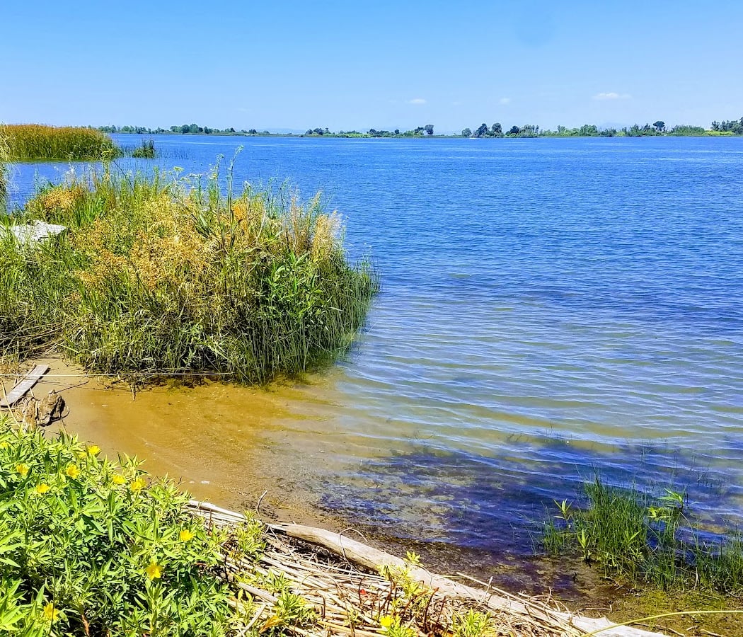 Antioch Dunes National Wildlife Refuge 2