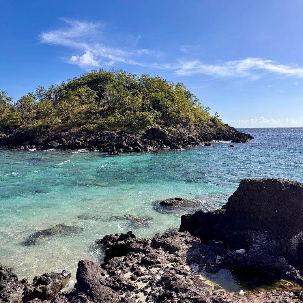 Réserve Cousteau de Guadeloupe 2