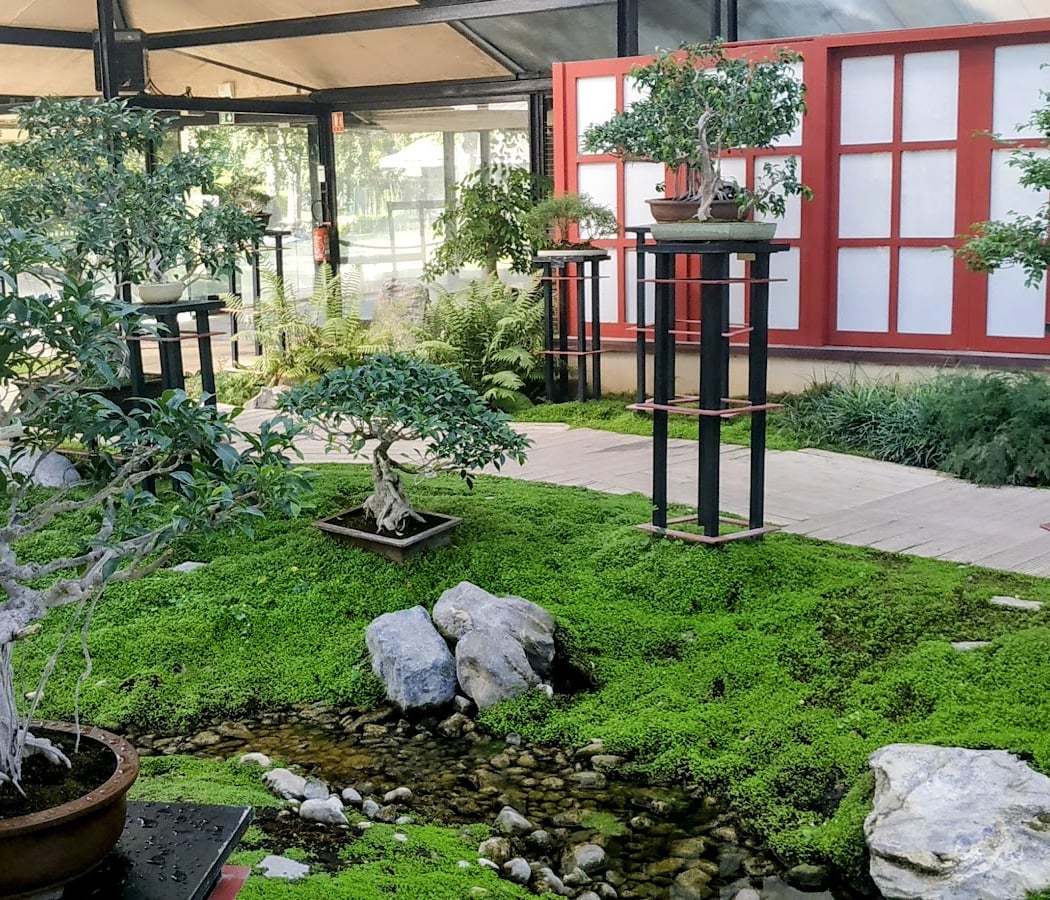 Visite guidée : le Jardin d'Agronomie Tropicale de Paris 2