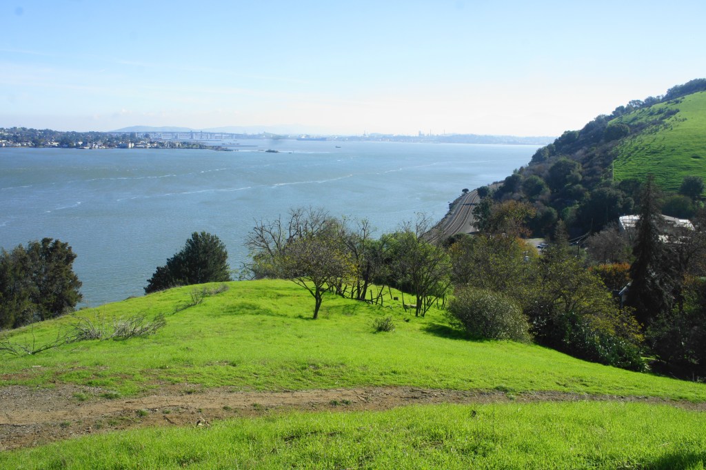Carquinez Strait Regional Shoreline Park 3