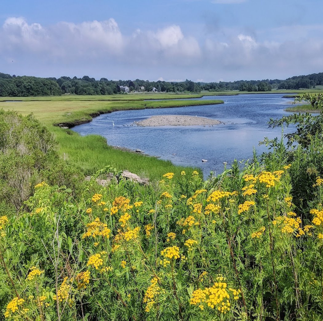 Sapowet Marsh 1