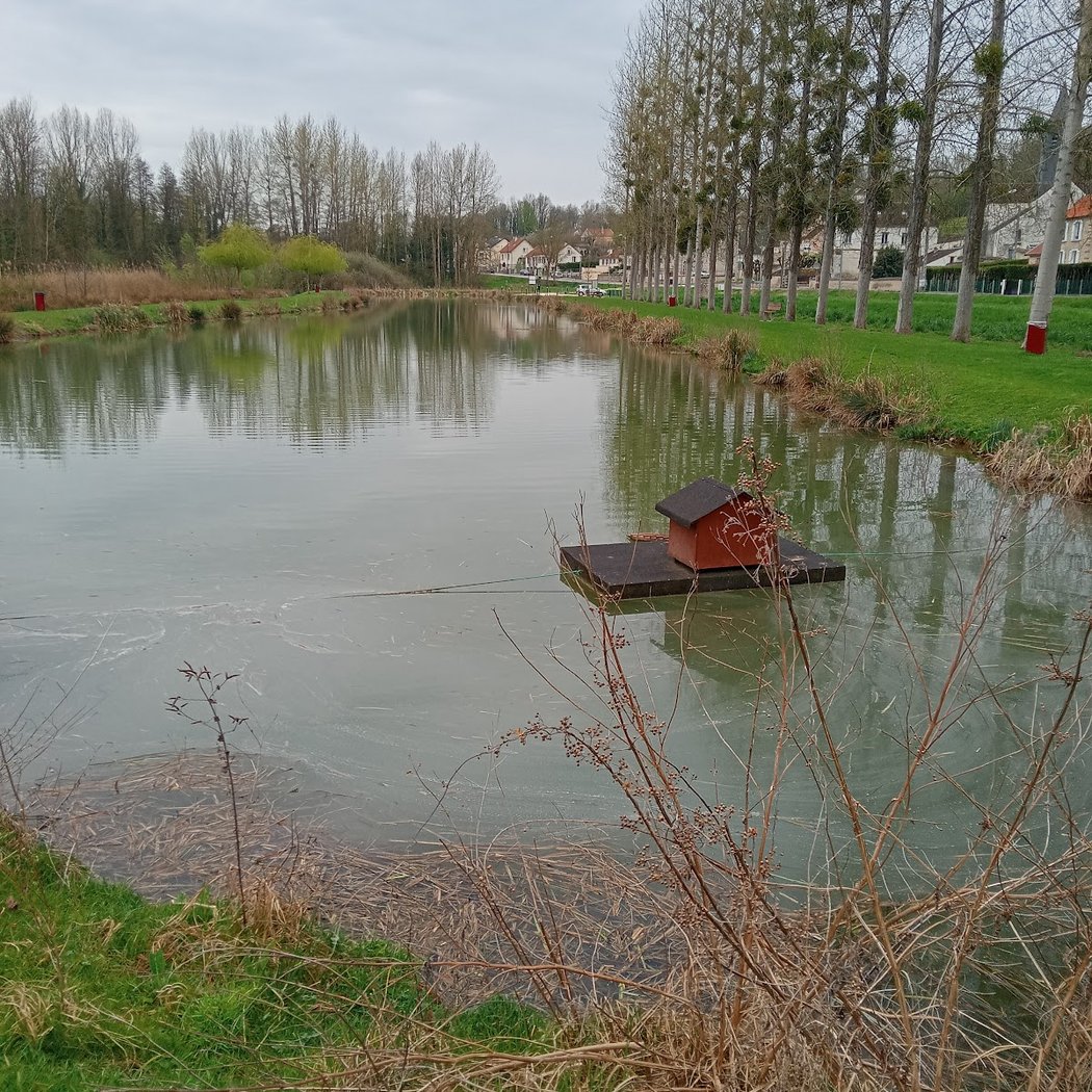 Les eaux des oies 2