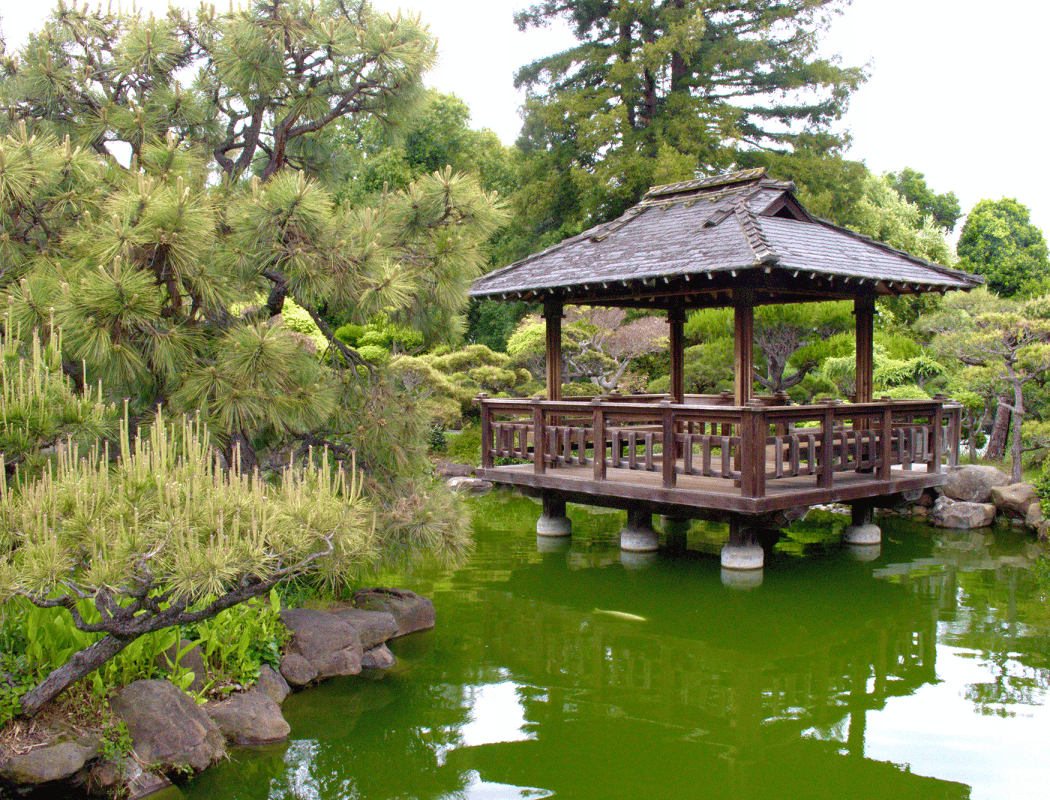 Hayward Japanese Gardens 1