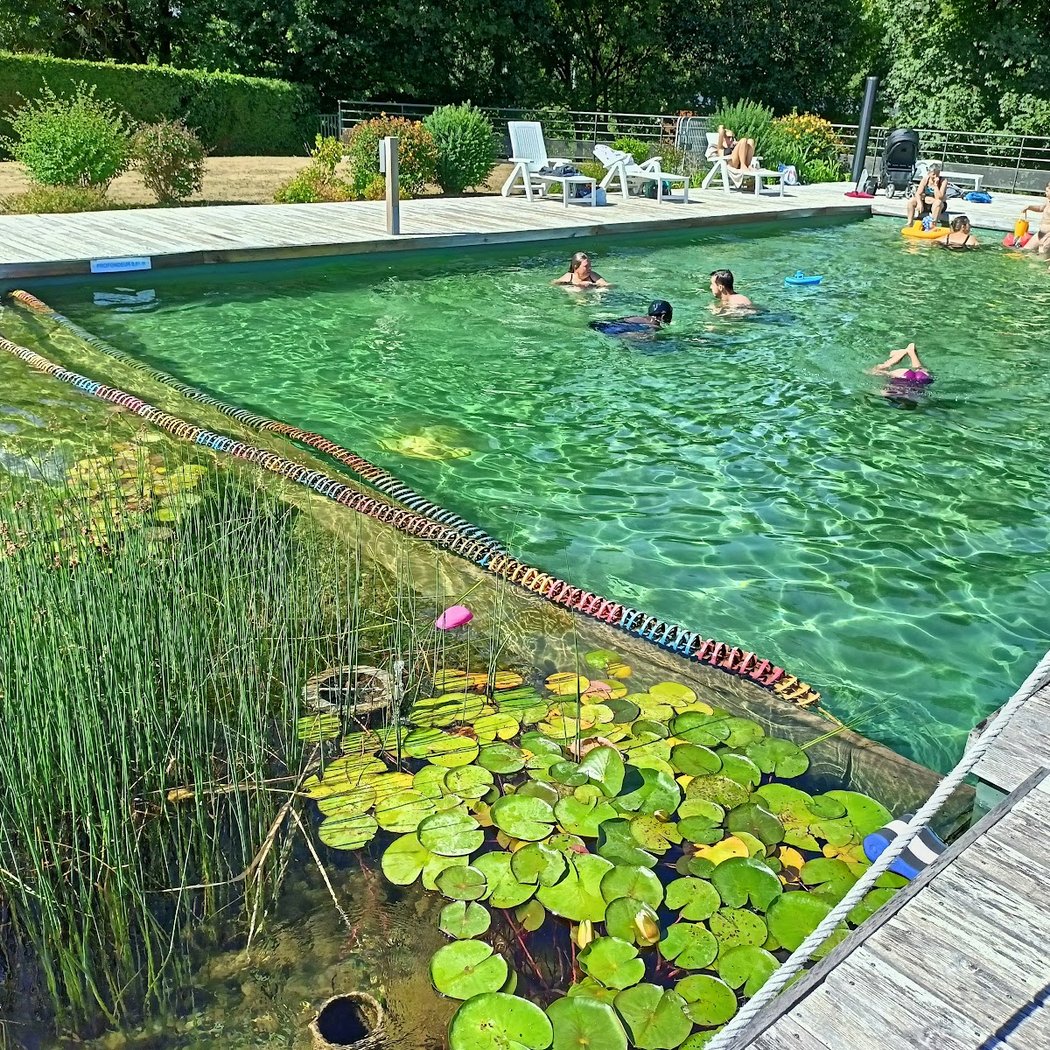 Baignade biologique 2