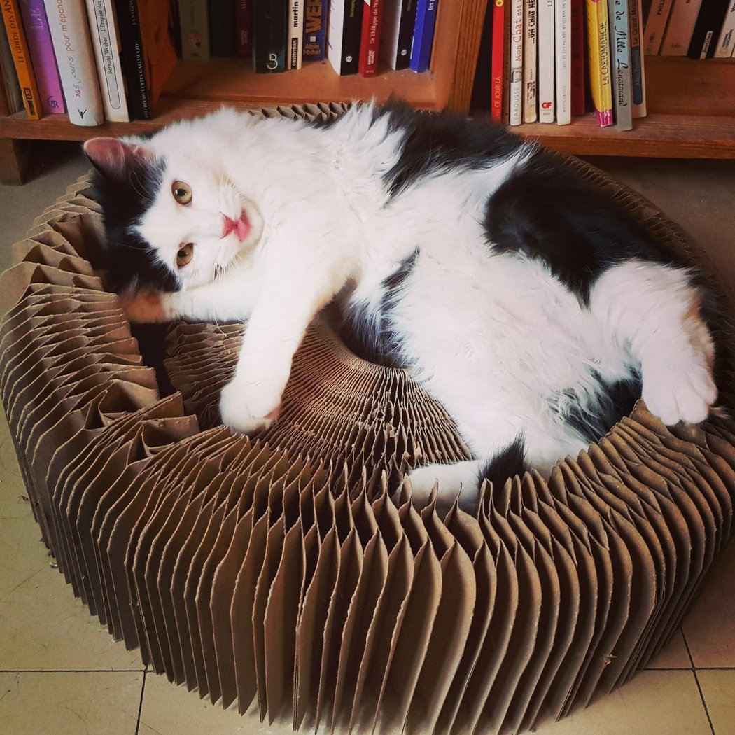 La réserve animale 1