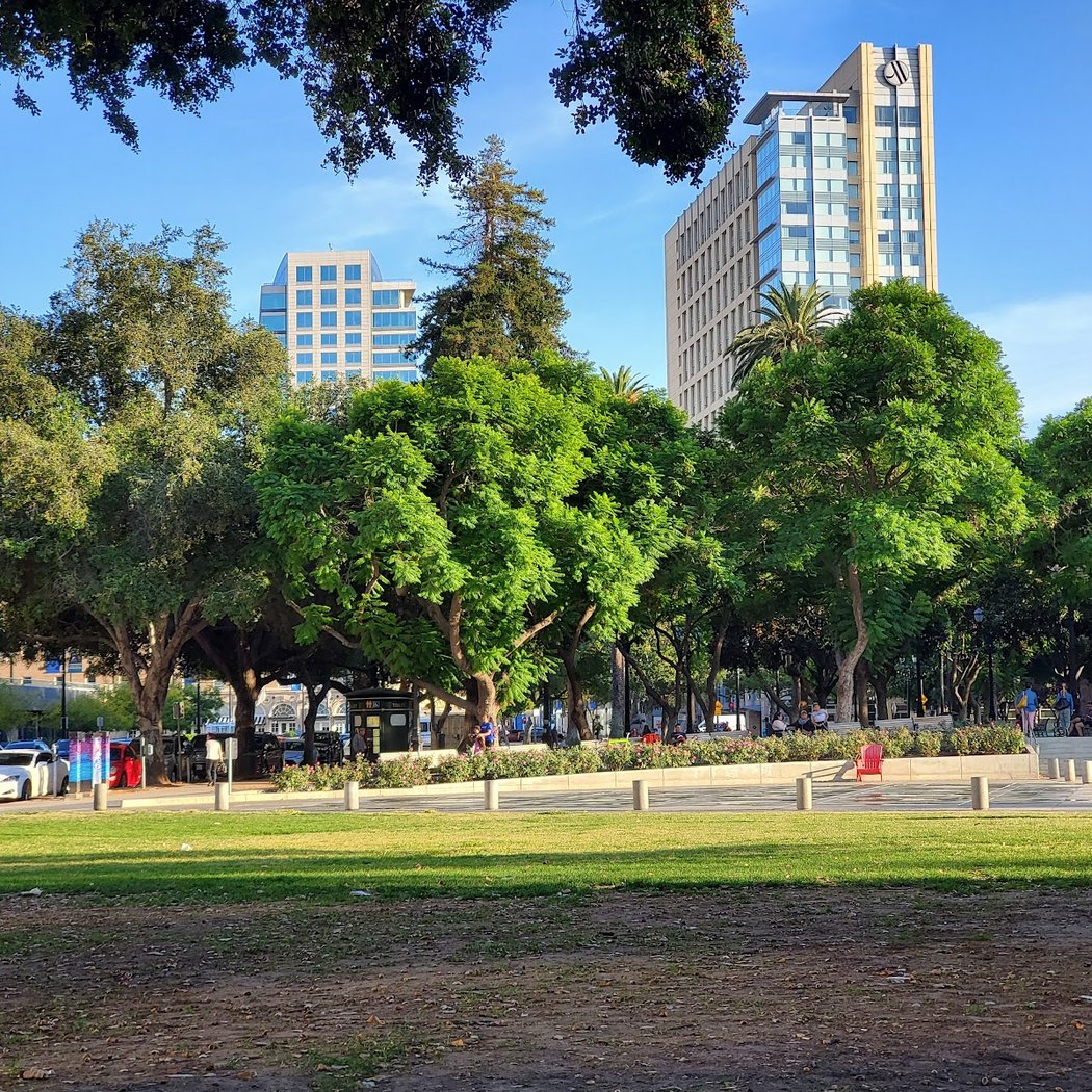 Music in the Park 3