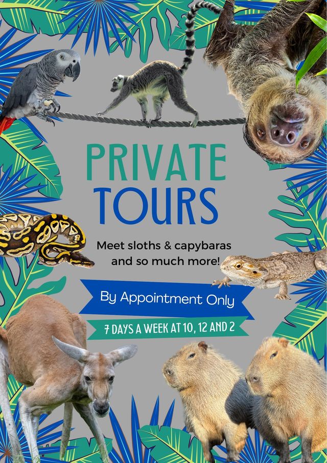 Amazing Animals Inc 1