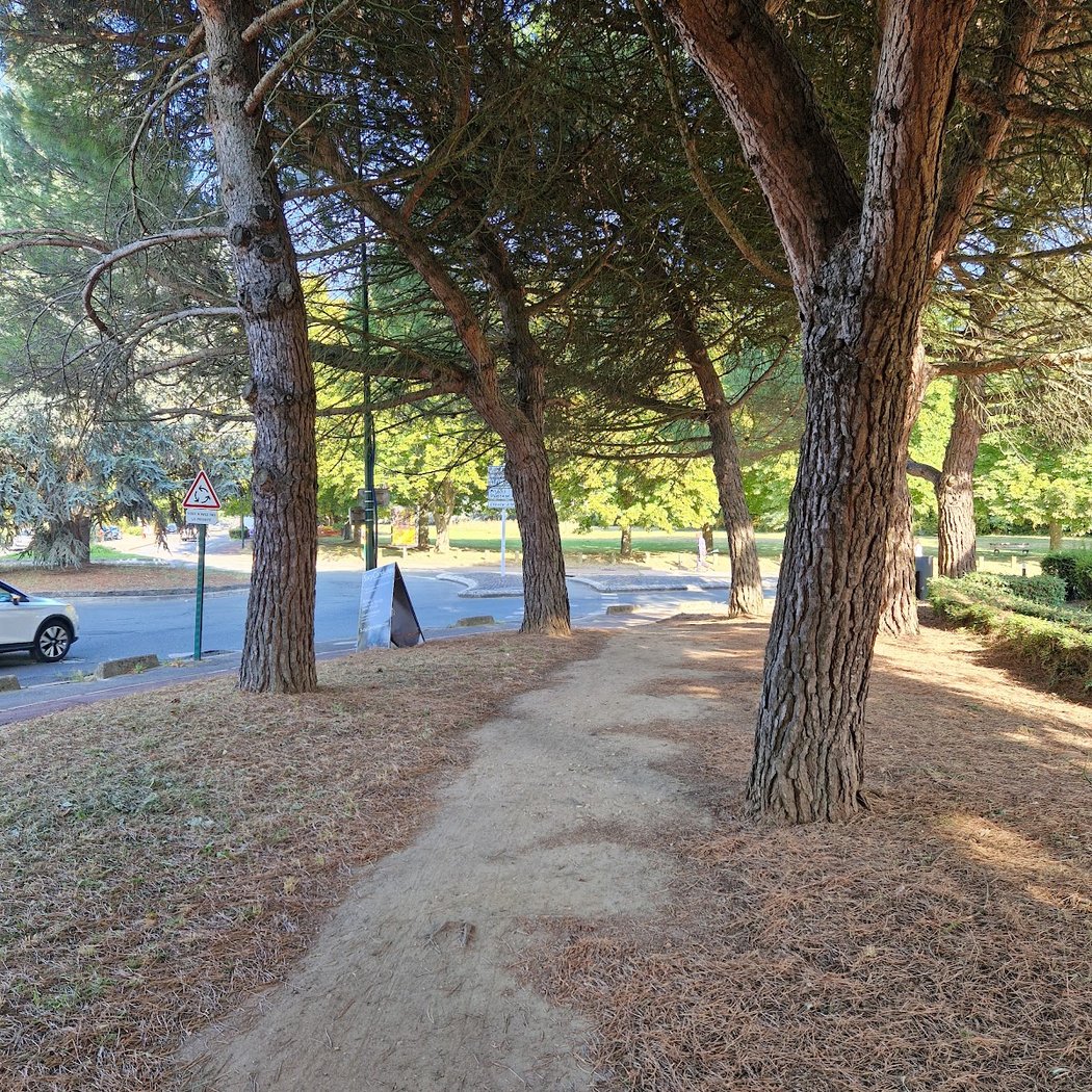 Balade des pins 4