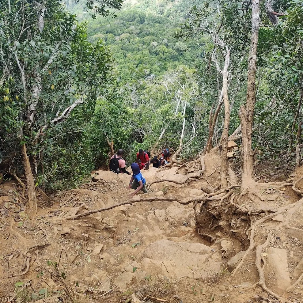 Mont Choungui 3