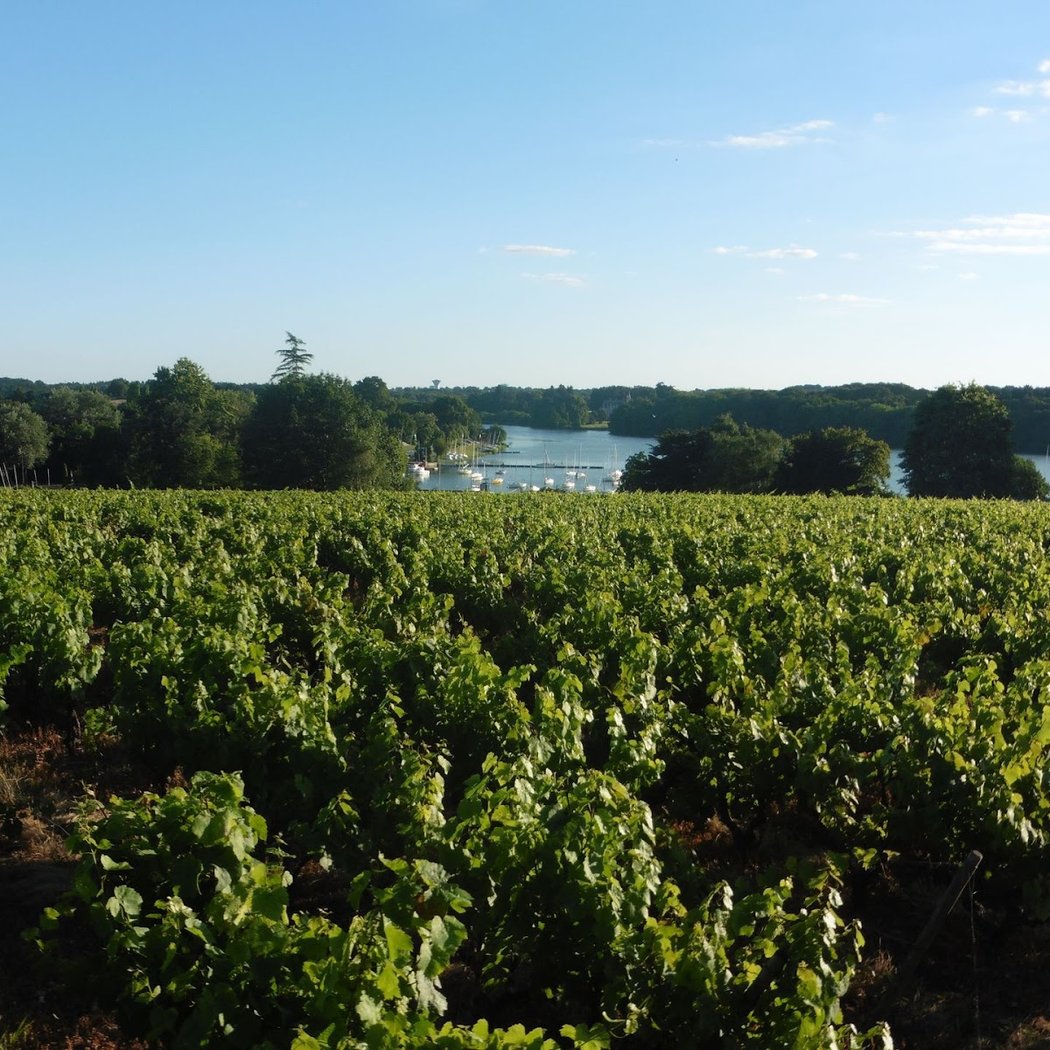 Domaine De Port Jean 1