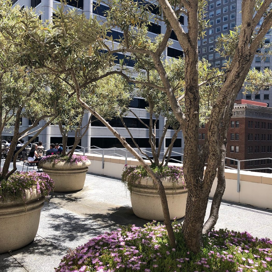 343 Sansome Rooftop Deck 2