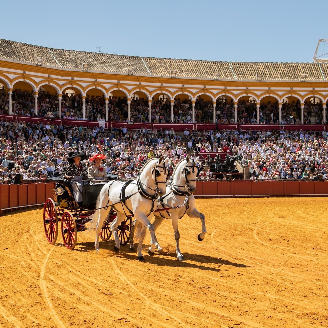 Visita gratuita a la plaza de toros de la Real Maestranza 1