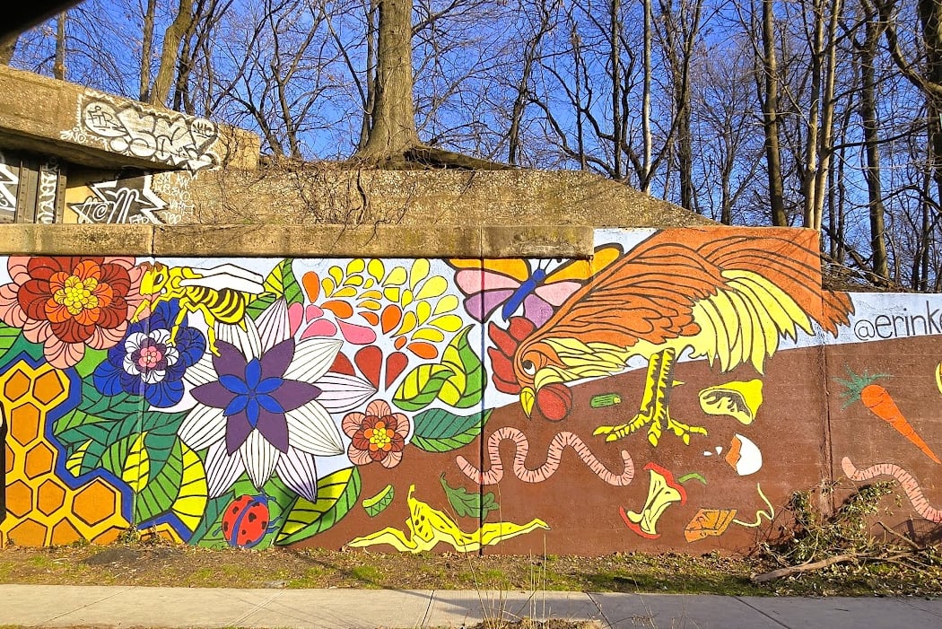 The Compost Collective 1