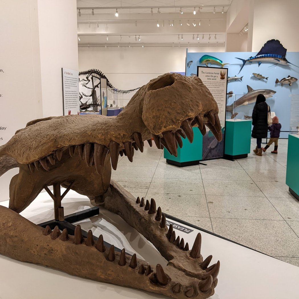 New Jersey State Museum 1