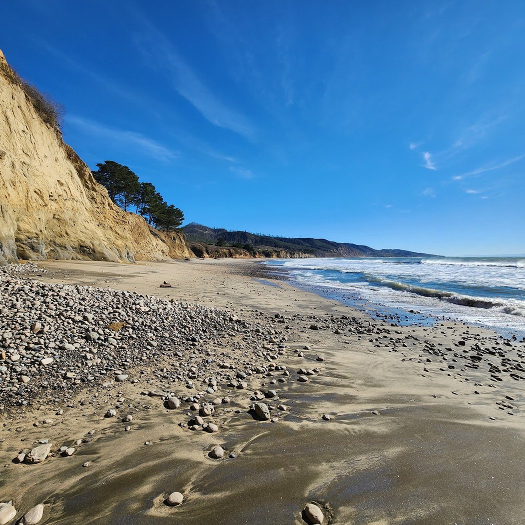 Guided Hike in Elephant Seal Viewing 3