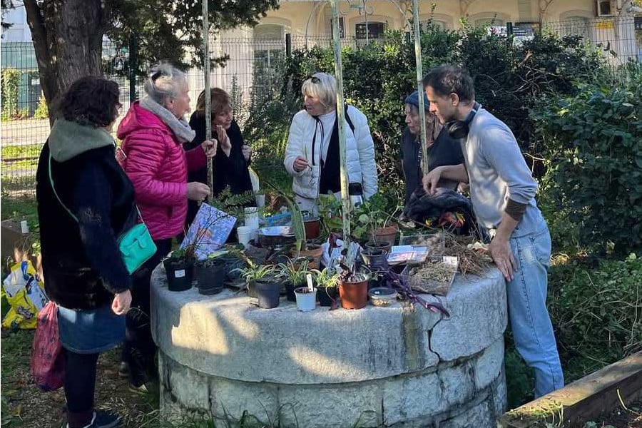 Échange de plantes 1