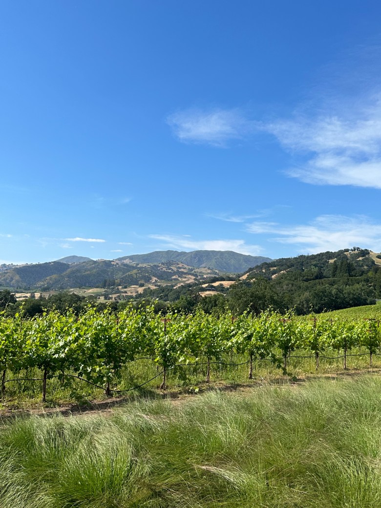 Healdsburg 2