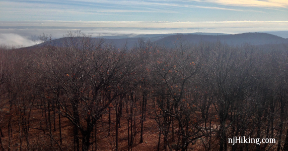 Jackie Jones Fire Tower 3