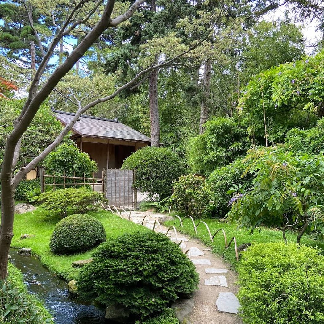 Visite saisonnière : Printemps japonais 3