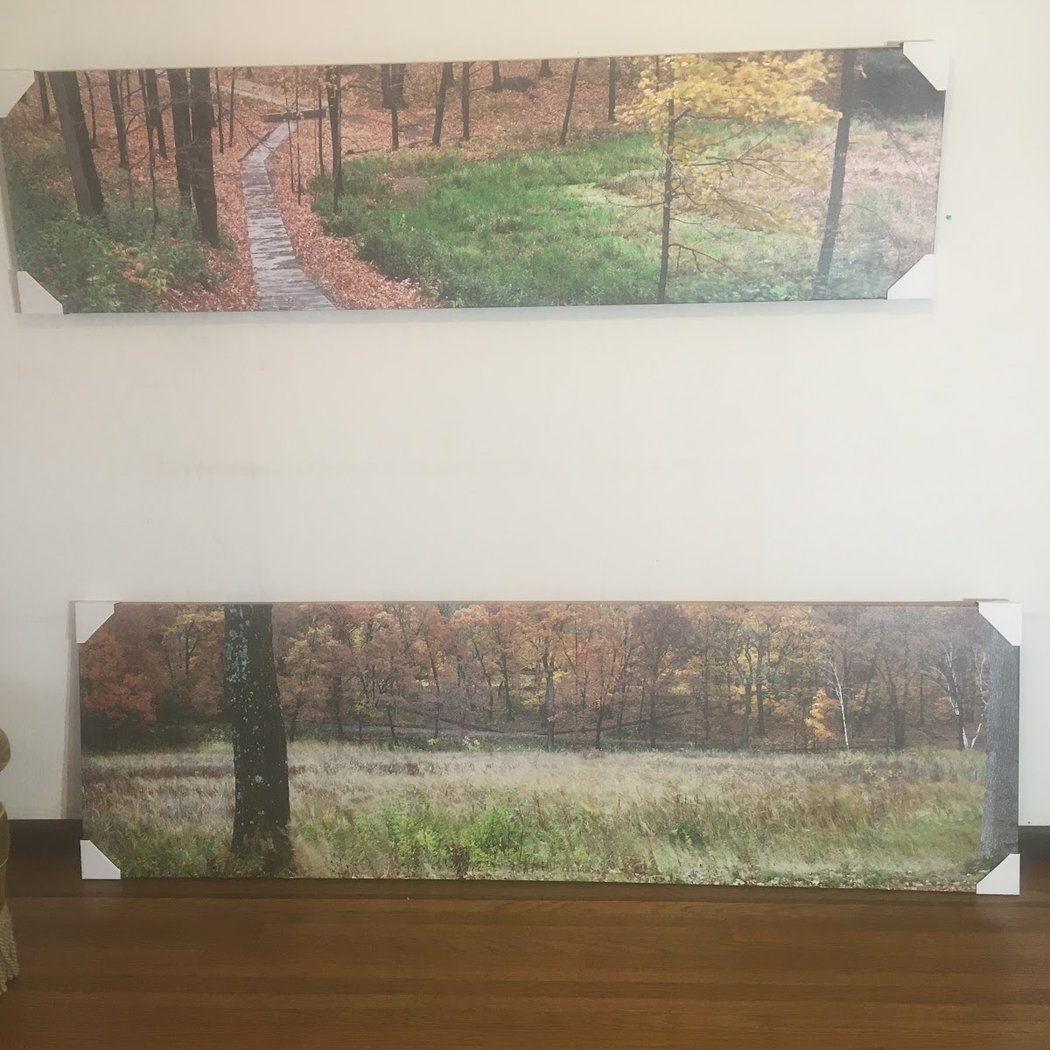 Mill Valley Framing 2