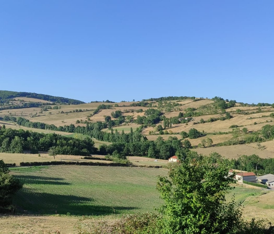 Monts du Lyonnais 3