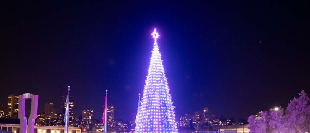 The Pier 39 Performing Christmas Tree 1