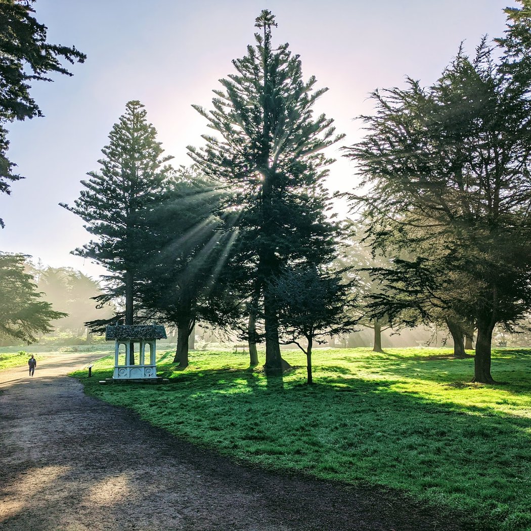 Land's End: Sutro Heights Tour 1