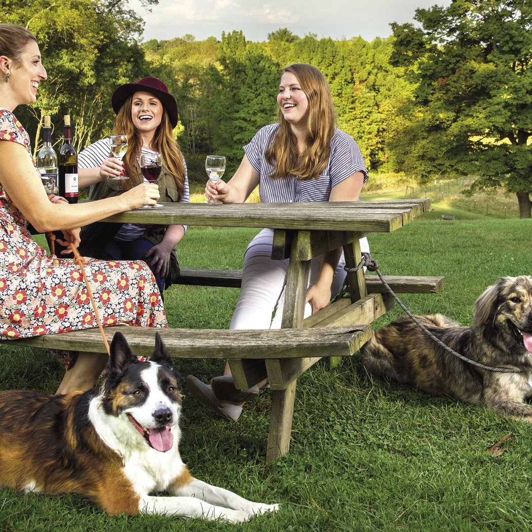 Yappy Hour 1