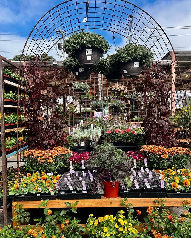 Sloat Garden Center 1