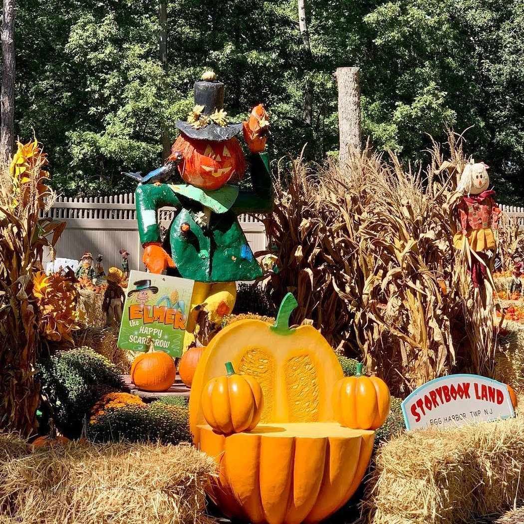 Fall into Fun Festival