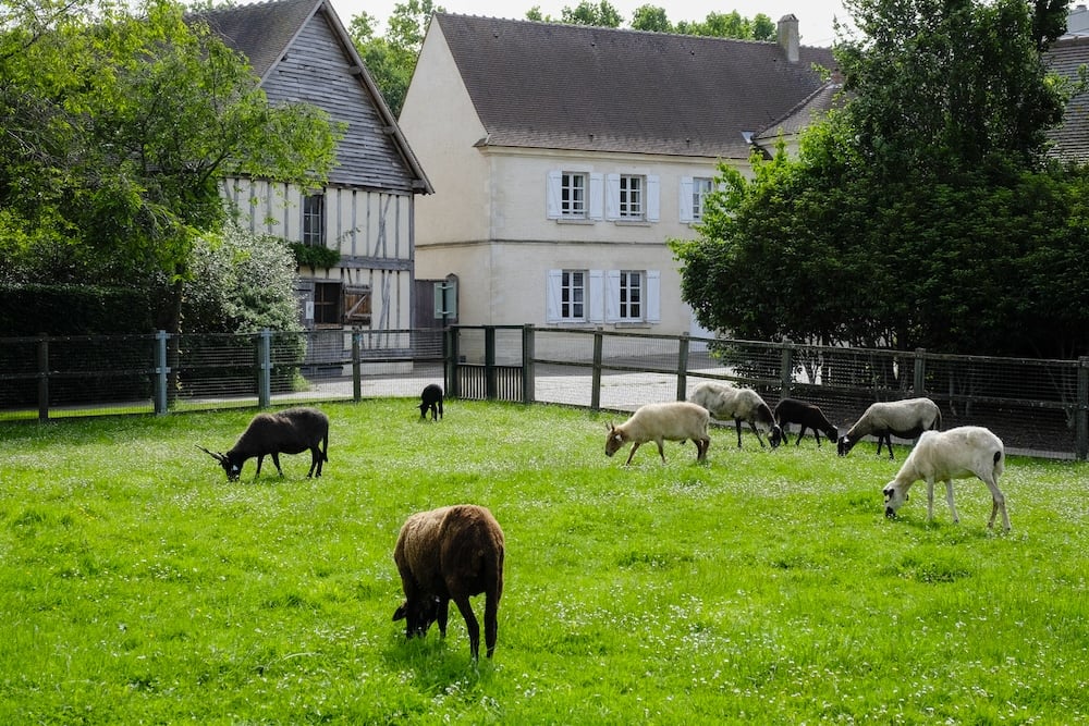 Ferme des Chanteraines 1