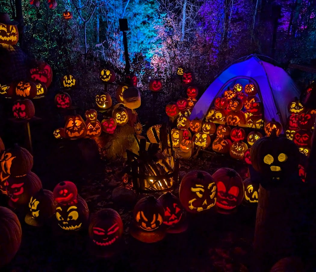 Minnesota Zoo 4