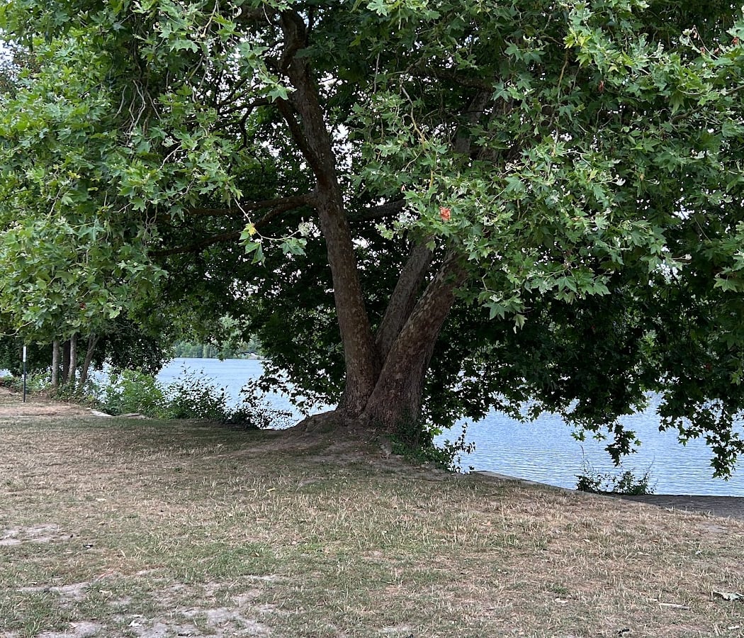 Île du Berceau 3