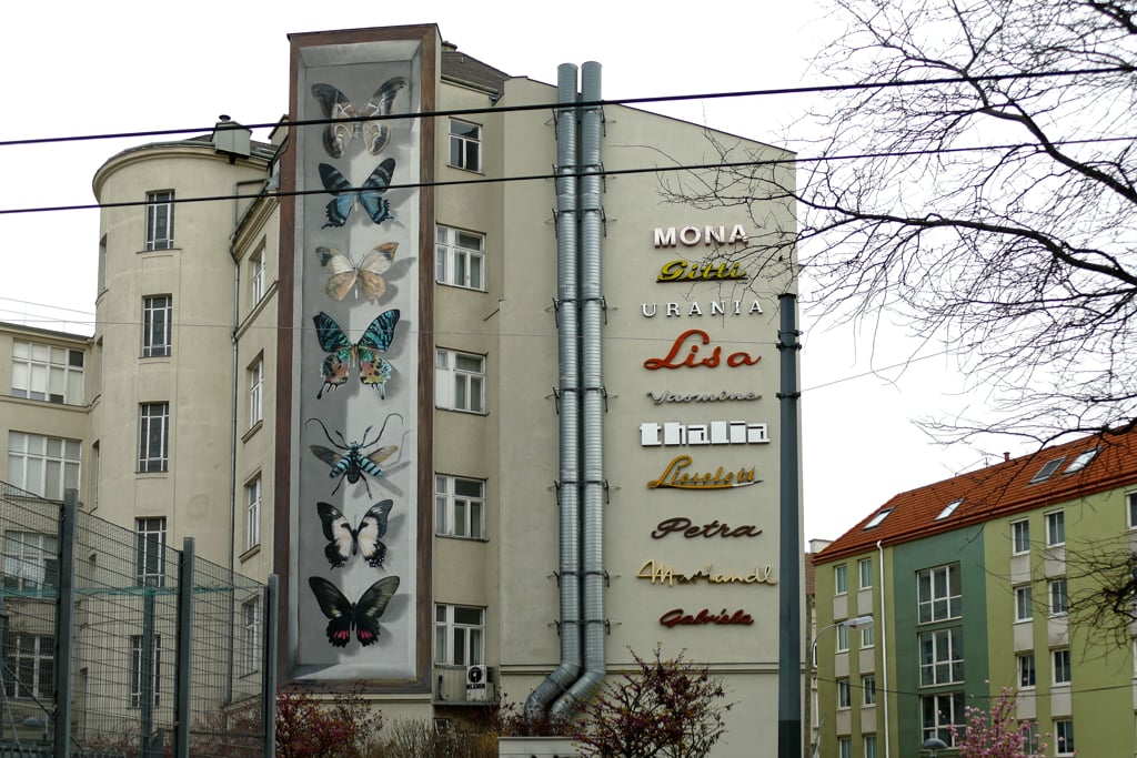 Street art 4