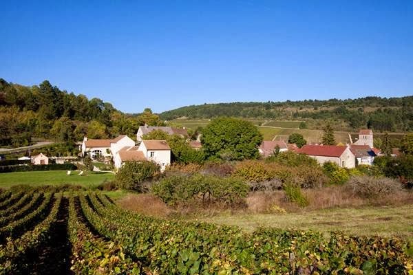 Domaine de la Combotte 1