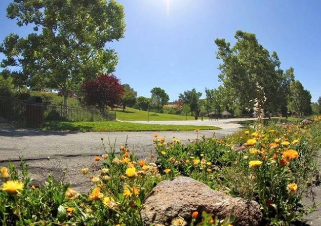 Moraga Commons Park 2
