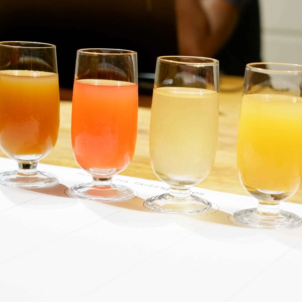 Kombucha Tasting for Nerds