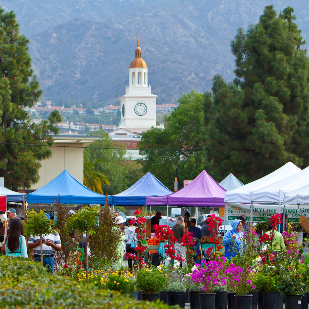 Burbank Certified Farmers Market 2