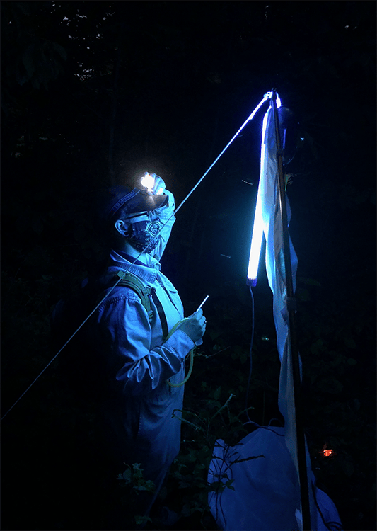 Rancocas Mothing Night 3
