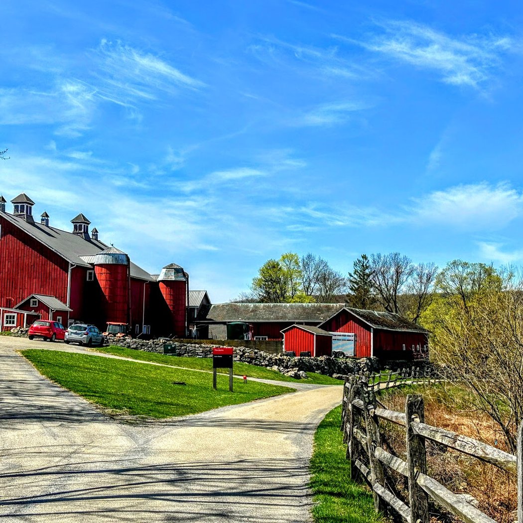 Glynwood Farm Dinner with Fabrizia Lanza: Weaving Story, Taste, and Land 5