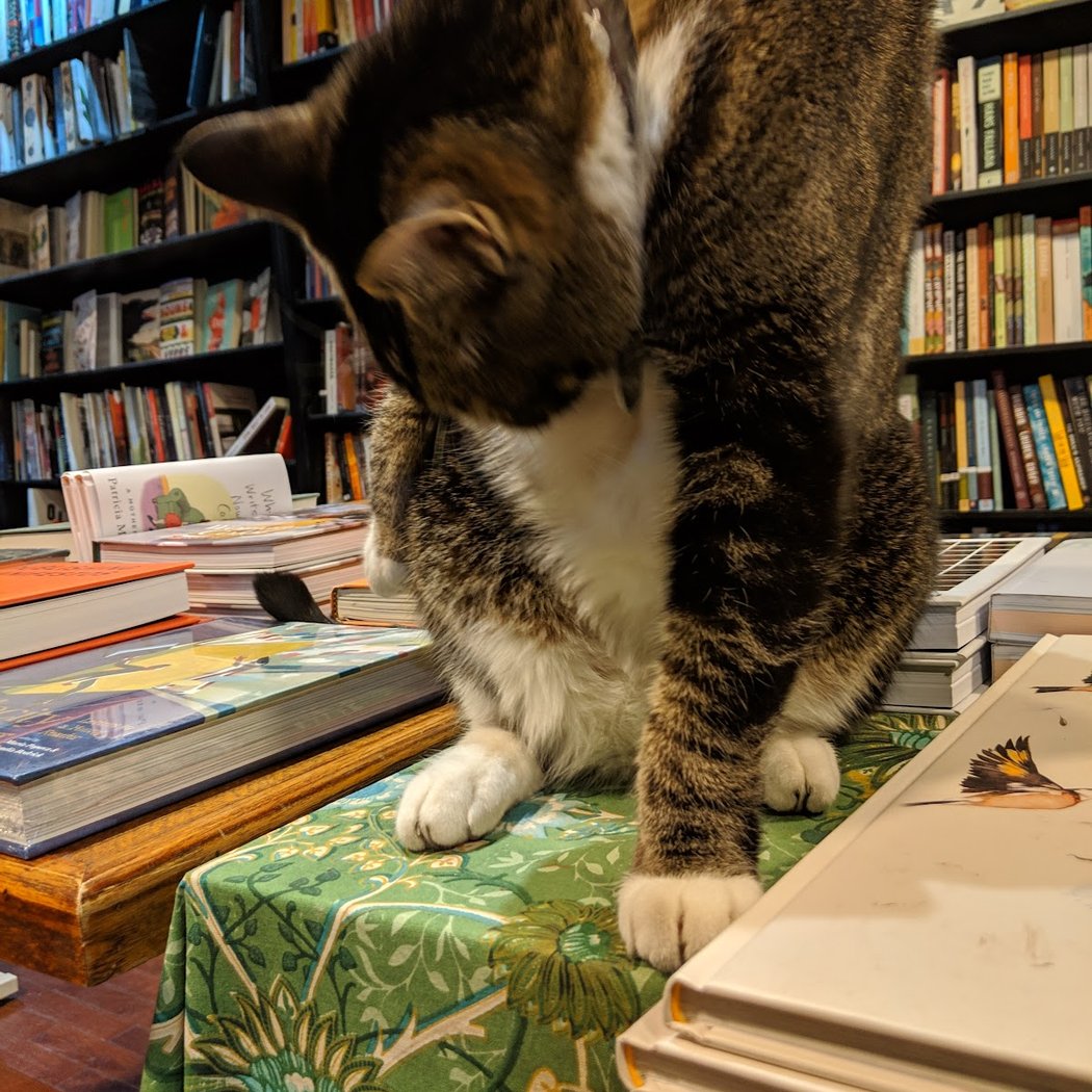 Bookend Events - Brooklyn Book Festival 5
